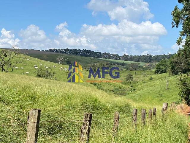 Fazenda para Venda em Piracicaba - 5