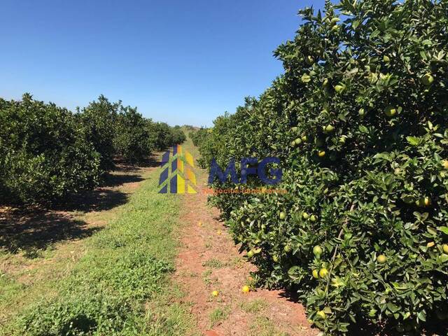 #15255 - Fazenda para Venda em Avaré - SP - 2