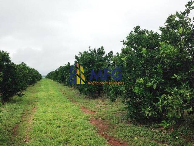 Fazenda para Venda em Avaré - 5