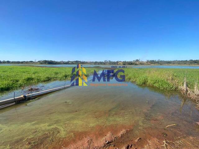 Venda em Área Rural de Pereirra Barreto - Pereira Barreto