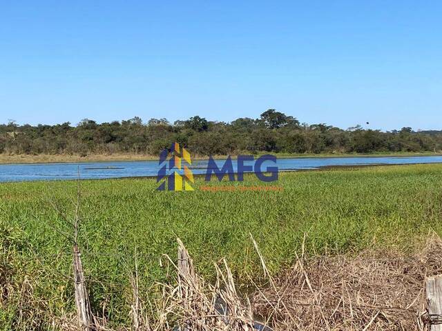 Fazenda para Venda em Pereira Barreto - 2