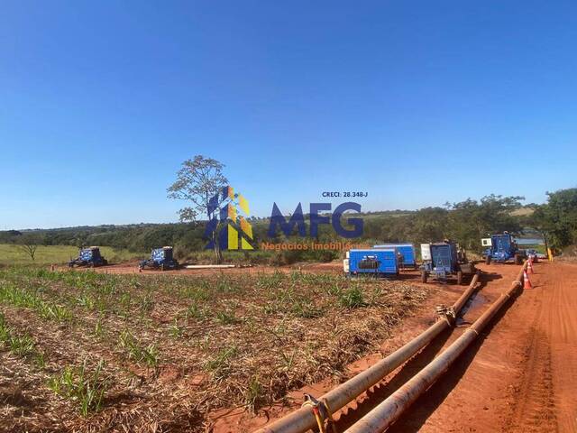 Fazenda para Venda em Pereira Barreto - 4