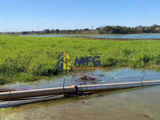 Fazenda para Venda em Pereira Barreto - 3