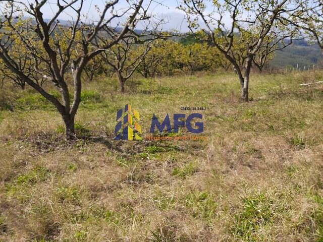 #15465 - Fazenda para Venda em São Miguel Arcanjo - SP - 2