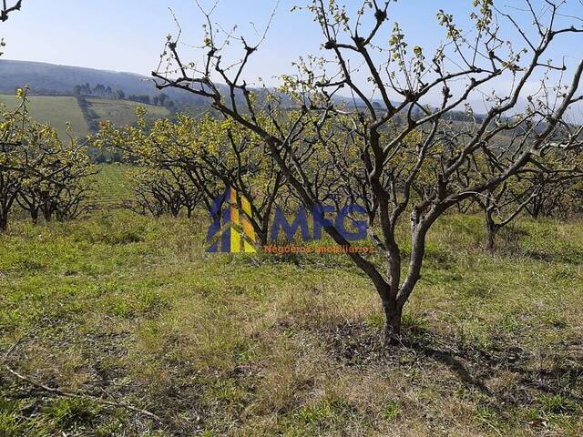 #15465 - Fazenda para Venda em São Miguel Arcanjo - SP - 3