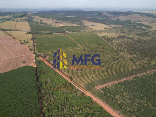 #15466 - Fazenda para Venda em Angatuba - SP - 3