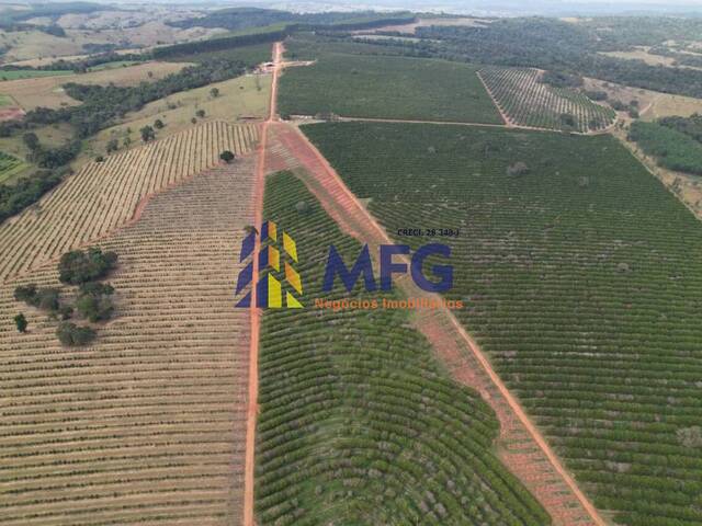 Fazenda para Venda em Angatuba - 4