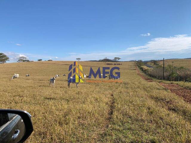 #15526 - Fazenda para Venda em Marília - SP - 2