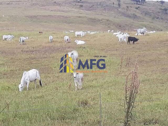 #7200 - Fazenda para Venda em Itaporanga - SP - 1