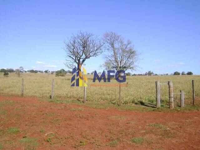 Fazenda para Venda em Santa Vitória - 4