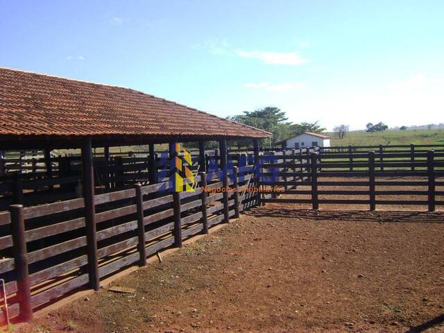 #17382 - Fazenda para Venda em Santa Vitória - MG - 3