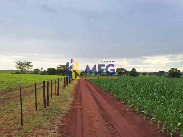 #17704 - Fazenda para Venda em Santa Fé do Sul - SP - 3