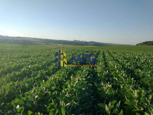 Fazenda para Venda em Sorocaba - 4