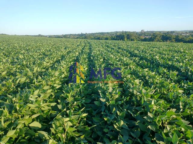 Fazenda para Venda em Sorocaba - 5