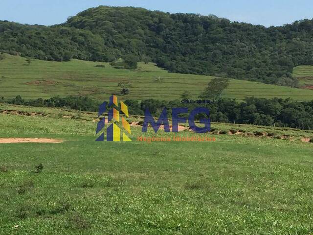 #17934 - Fazenda para Venda em Marília - SP - 3