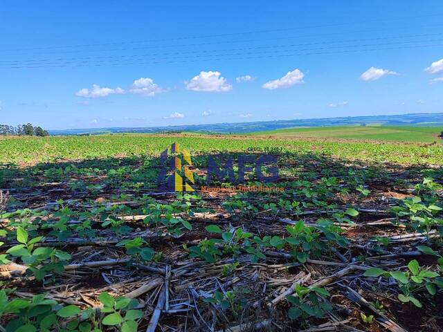 #17990 - Fazenda para Venda em Piraju - SP - 2