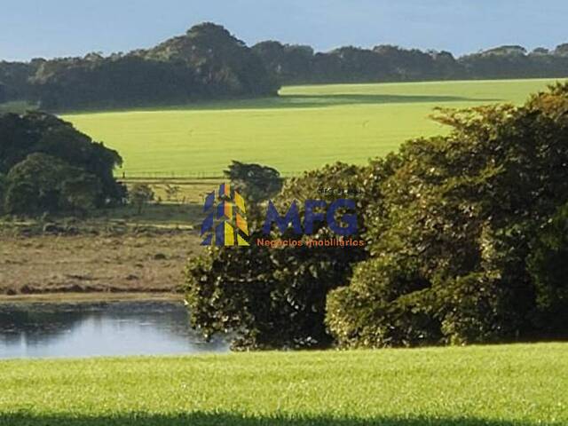 Fazenda para Venda em Itaí - 4