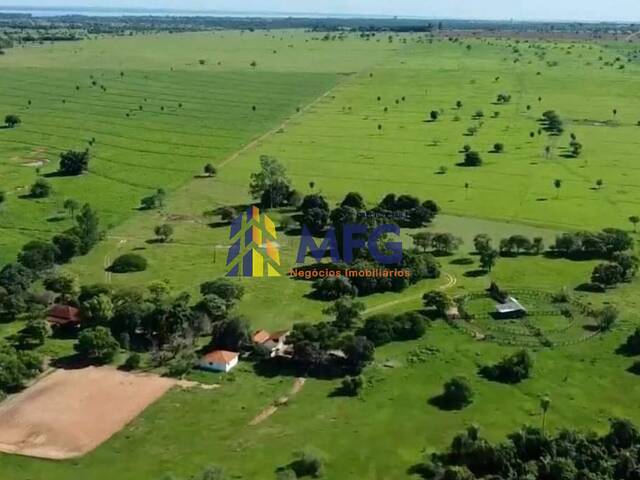 #18057 - Fazenda para Venda em Presidente Epitácio - SP - 2