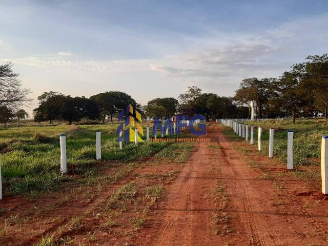 #18060 - Fazenda para Venda em Santa Vitória - MG - 2