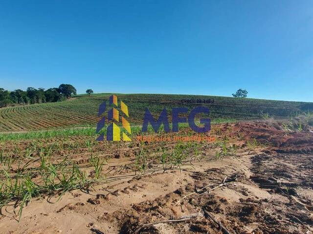 #18090 - Fazenda para Venda em Capela do Alto - SP - 2