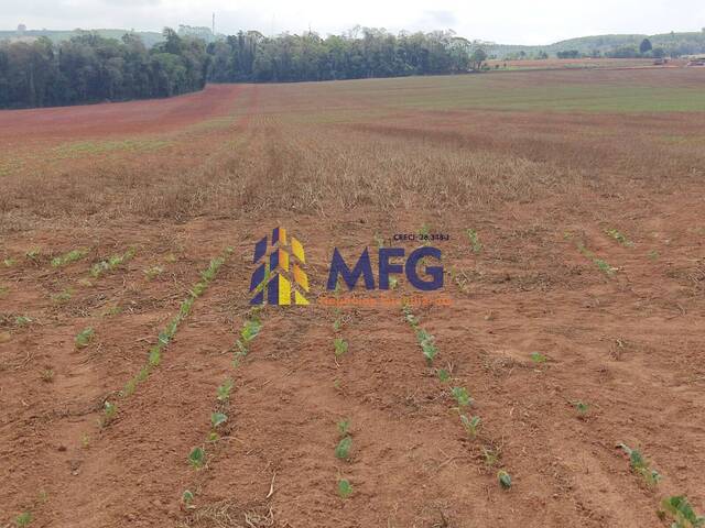 Fazenda para Venda em São Miguel Arcanjo - 2