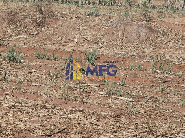 Fazenda para Venda em Santa Maria da Serra - 4