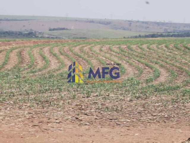 Fazenda para Venda em Santa Maria da Serra - 5