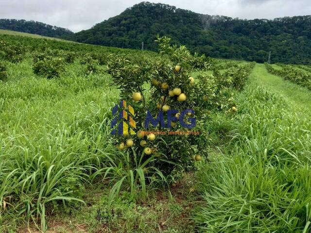 Fazenda para Venda em Campina Verde - 4