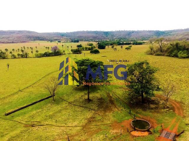 Fazenda para Venda em Campina Verde - 5