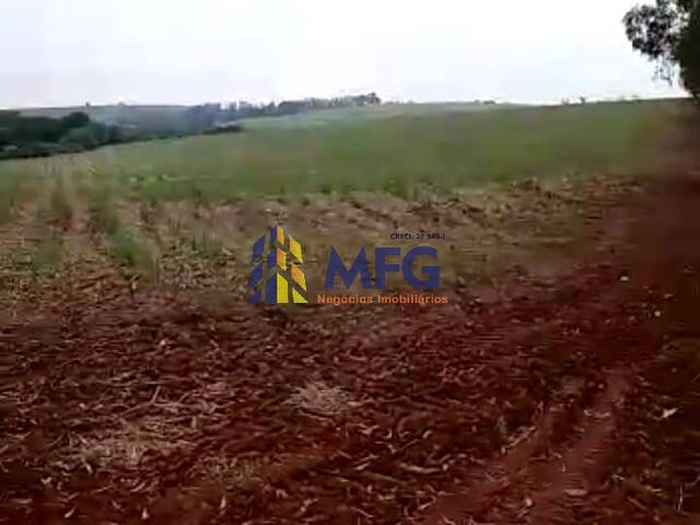 #18193 - Fazenda para Venda em Pirassununga - SP - 2