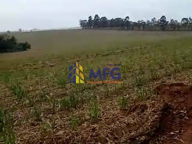 Fazenda para Venda em Pirassununga - 4