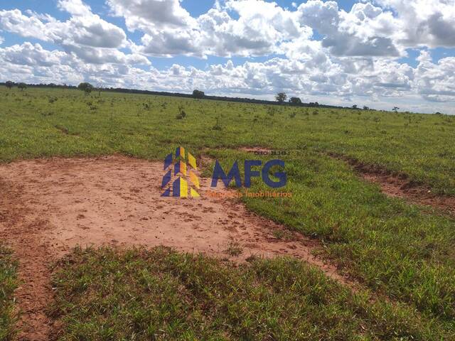 Fazenda para Venda em Brasilândia - 3