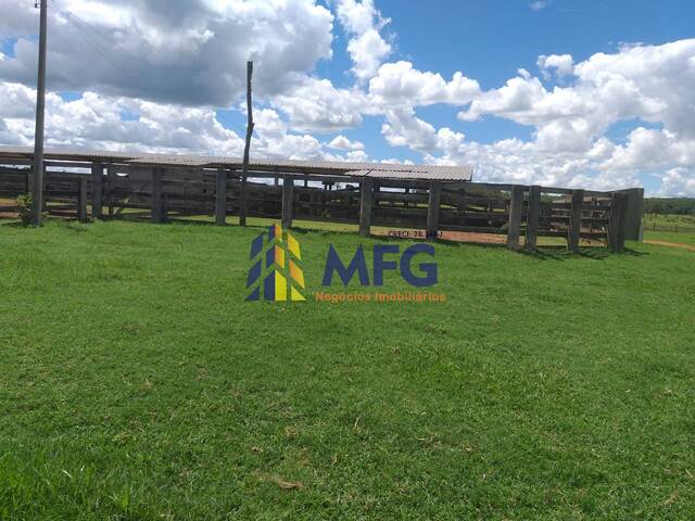 Fazenda para Venda em Brasilândia - 4