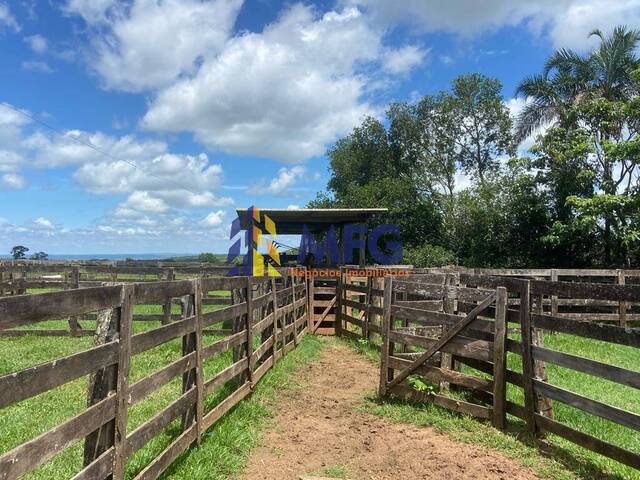 #18287 - Fazenda para Venda em Inocência - MS - 2