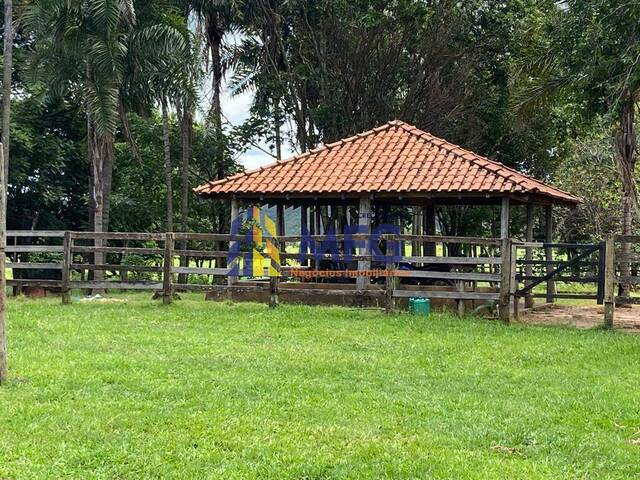 Fazenda para Venda em Inocência - 5