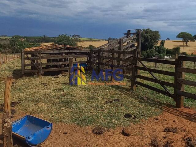 #18420 - Sítio para Venda em Monte Aprazível - SP - 3