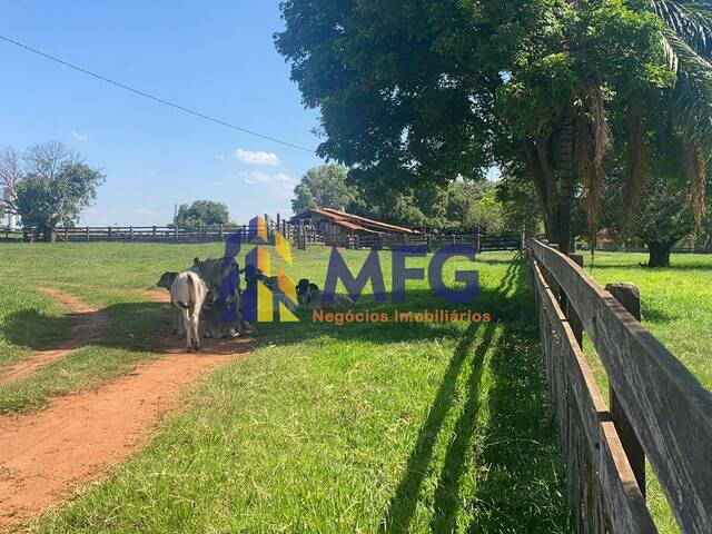 #18513 - Chácara para Venda em Santo Antônio do Aracanguá - SP - 1