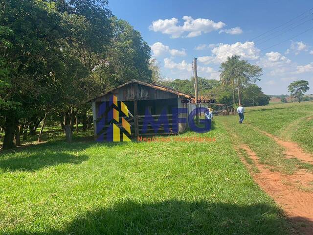 #18513 - Chácara para Venda em Santo Antônio do Aracanguá - SP - 2