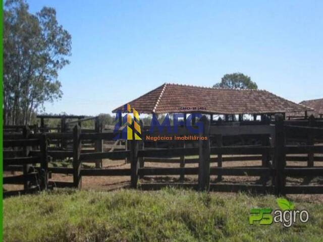 #18553 - Fazenda para Venda em Inocência - MS - 1