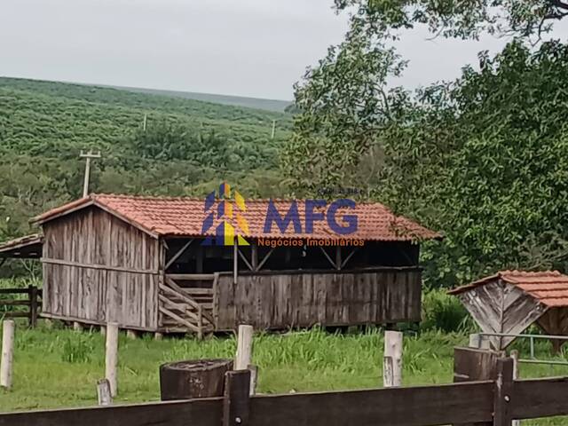 #18574 - Fazenda para Venda em Iacanga - SP - 2