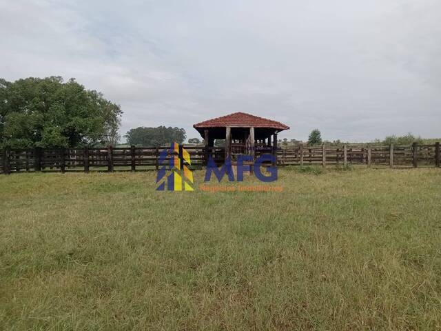 #18574 - Fazenda para Venda em Iacanga - SP - 1