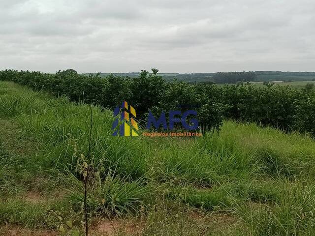 Fazenda para Venda em Iacanga - 4