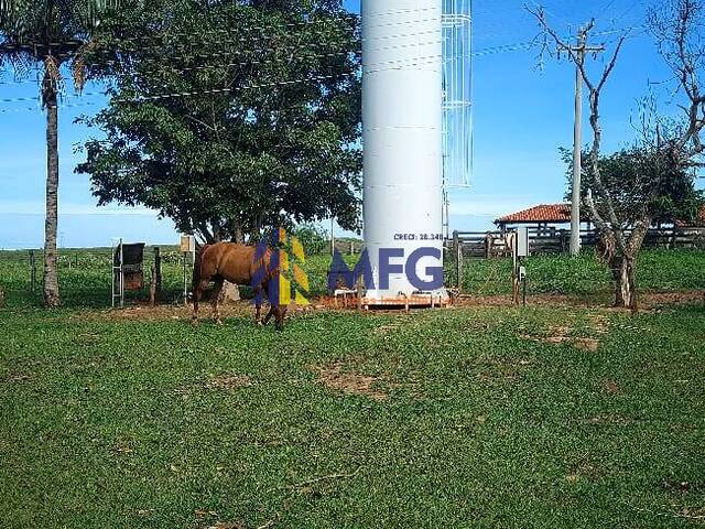 #18637 - Fazenda para Venda em Araçatuba - SP - 3