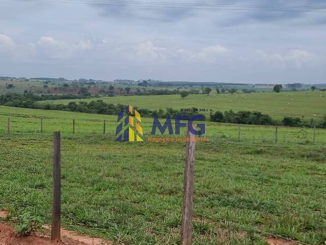 #18646 - Fazenda para Venda em Monte Aprazível - SP - 1