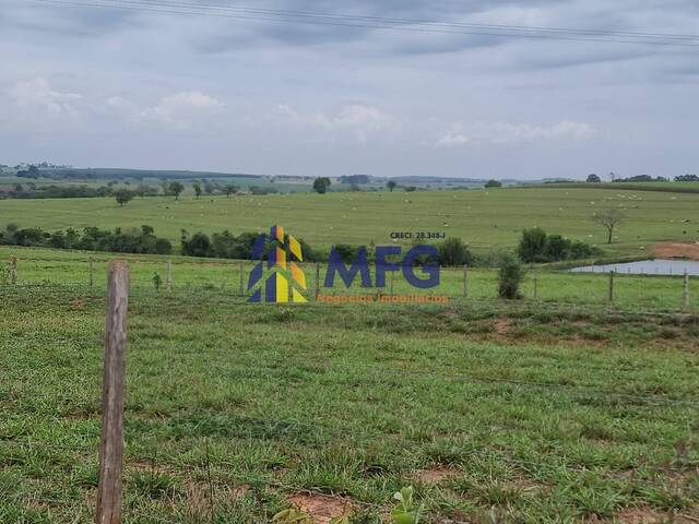 #18646 - Fazenda para Venda em Monte Aprazível - SP - 2