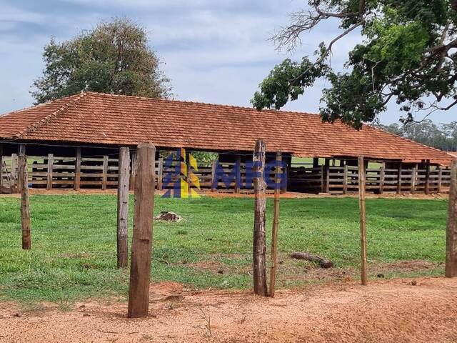 #18646 - Fazenda para Venda em Monte Aprazível - SP - 3