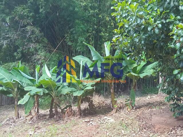 Chácara para Venda em Coronel Macedo - 5