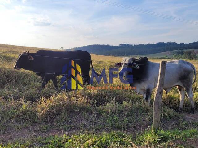 Fazenda para Venda em Piracicaba - 5