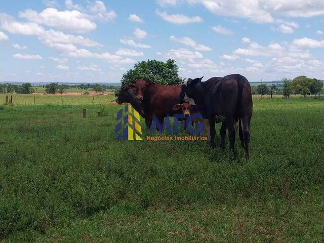 #18718 - Fazenda para Venda em Naviraí - MS - 3