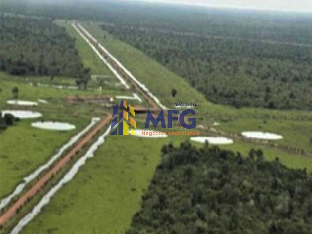 Fazenda para Venda em São Miguel do Araguaia - 5